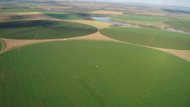 Qualidade como base da Agricultura de Precisão em áreas irrigadas
