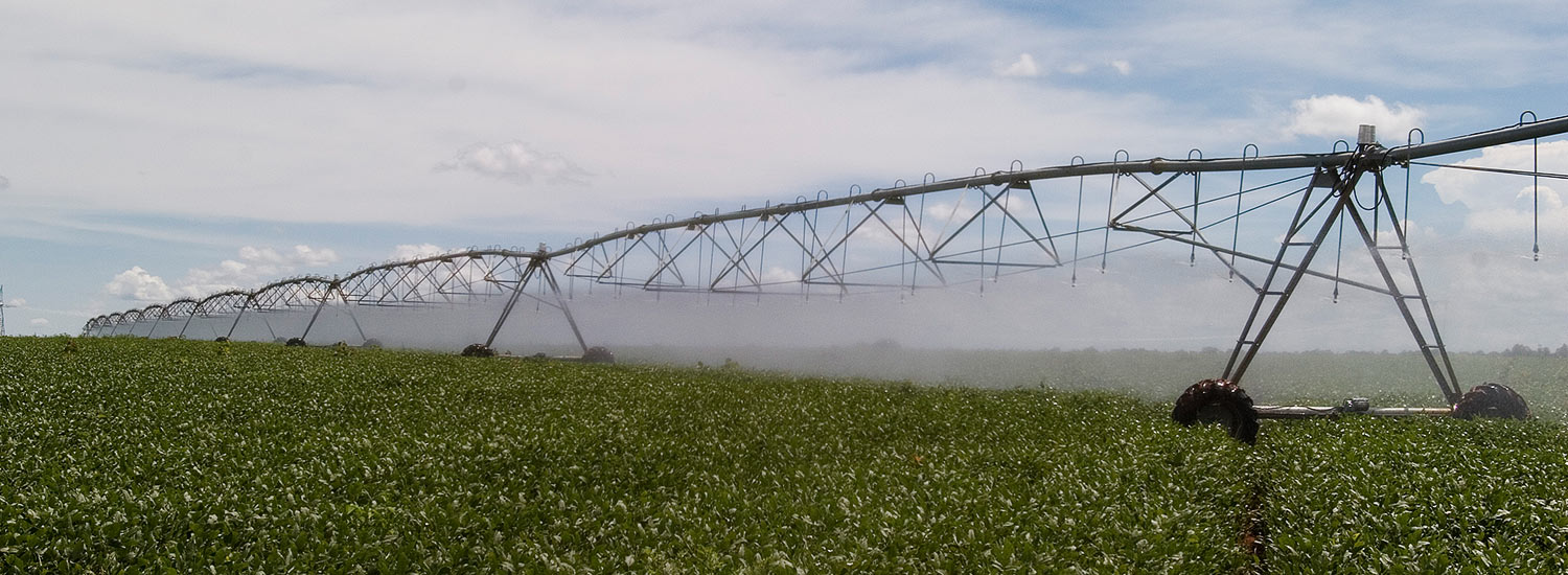 Lista de profissionais